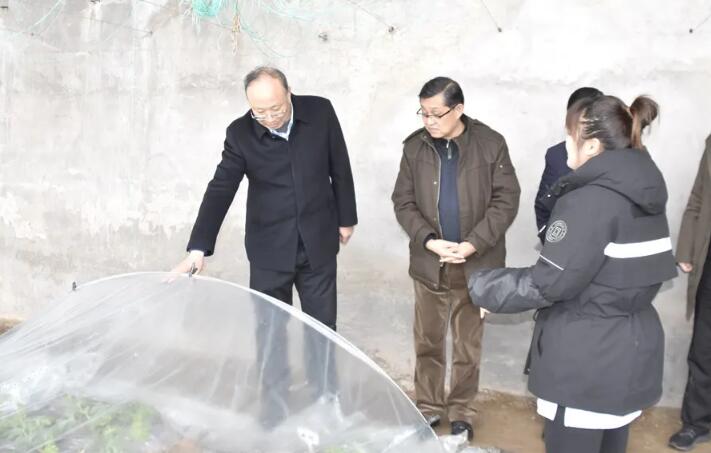 砀山帮扶.jpg 砀山帮扶.jpg